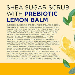 Dr. Teal's Dr Teal's Shea Sugar Scrub Prebiotic Lemon Balm 538G