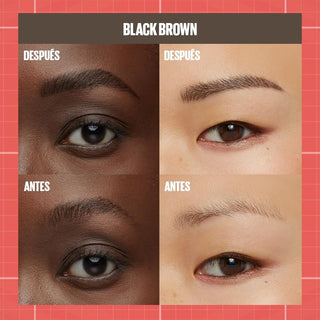 Maybelline Build-A-Brow 2N1 262 Black Brown
